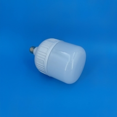 GFS T-Type LED Bulbs T120 25W