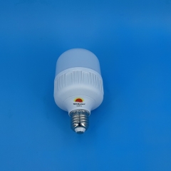 GFS T-Type LED Bulbs T80 15W