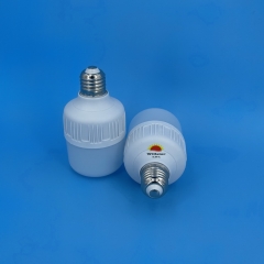 GFS T-Type GFS LED Bulbs T70 12W