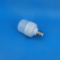 GFS T-Type GFS LED Bulbs T70 12W