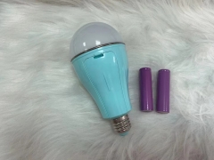 WS-Led emergency bulb