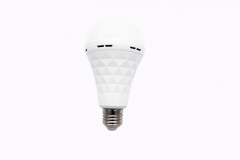 Led Diamond emergency bulb Y109Z Y112Z Y115Z