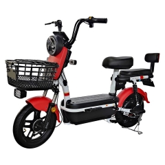Electric bicycle TY138