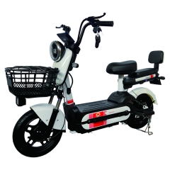 Electric bicycle TY48