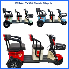Electric bicycle TY388