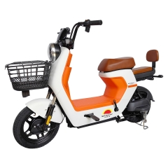Electric bicycle TY98