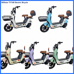 Electric bicycle TY168