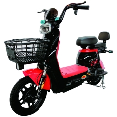 Electric bicycle TY238