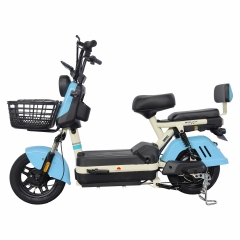 Electric bicycle TY78