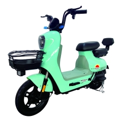 Electric bicycle TY298