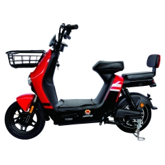 Electric bicycle TY288