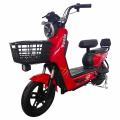 Electric bicycle TY88