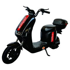 Electric bicycle TY268