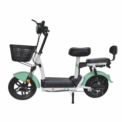 Electric bicycle TY58
