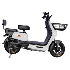 Electric bicycle TY668