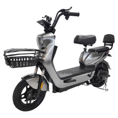 Electric bicycle TY108