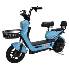 Electric bicycle TY108