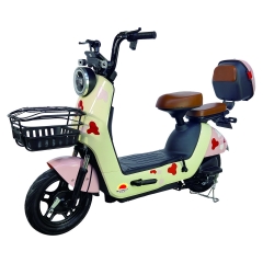 Electric bicycle TY168
