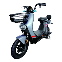 Electric bicycle TY288