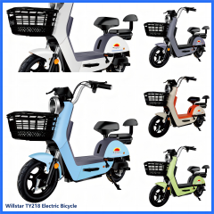 Electric bicycle TY218
