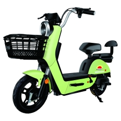 Electric bicycle TY218