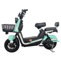 Electric bicycle TY528