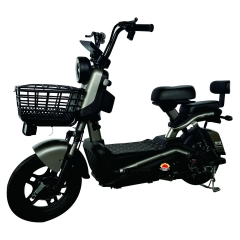 Electric bicycle TY198