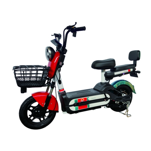 Electric bicycle TY48