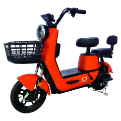 Electric bicycle TY228