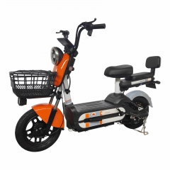 Electric bicycle TY48