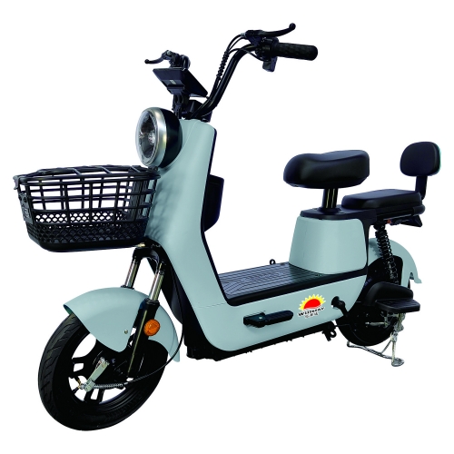 Electric bicycle TY228