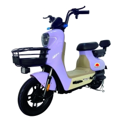 Electric bicycle TY298