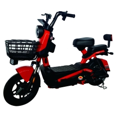 Electric bicycle TY198