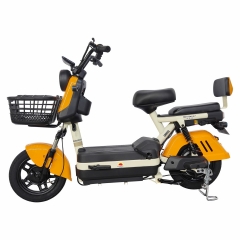 Electric bicycle TY78