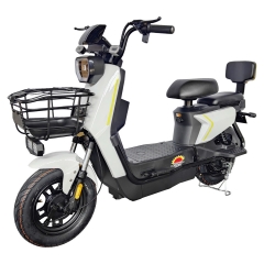 Electric bicycle TY648
