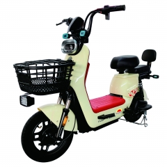 Electric bicycle TY238