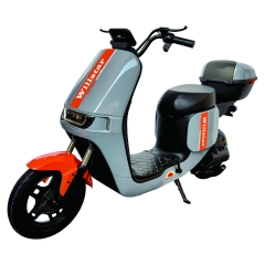 Electric bicycle TY268