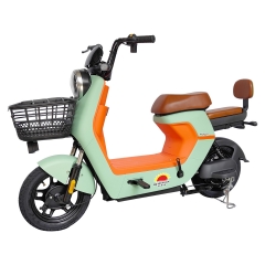 Electric bicycle TY98