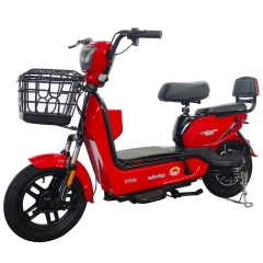 Electric bicycle TY118