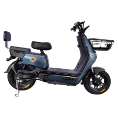 Electric bicycle TY668