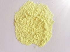 Tungsten Oxide WO3 Powder CAS 1314-35-8