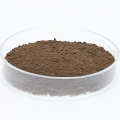 Silicon Nanoparticles Nano Si Powder CAS 7440-21-3