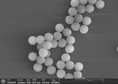 Carboxyl-Based Magnetic Beads