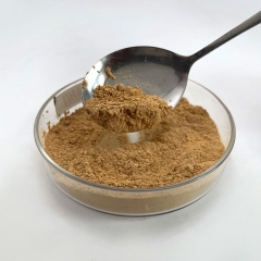Acicular Gamma Fe2O3 Powder Iron Oxide Powder