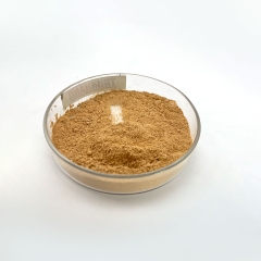 Titanium Disulfide Powder High Purity 99.99% CAS No. 12039-13-3