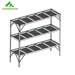 Greenhouse staging HX56313-5