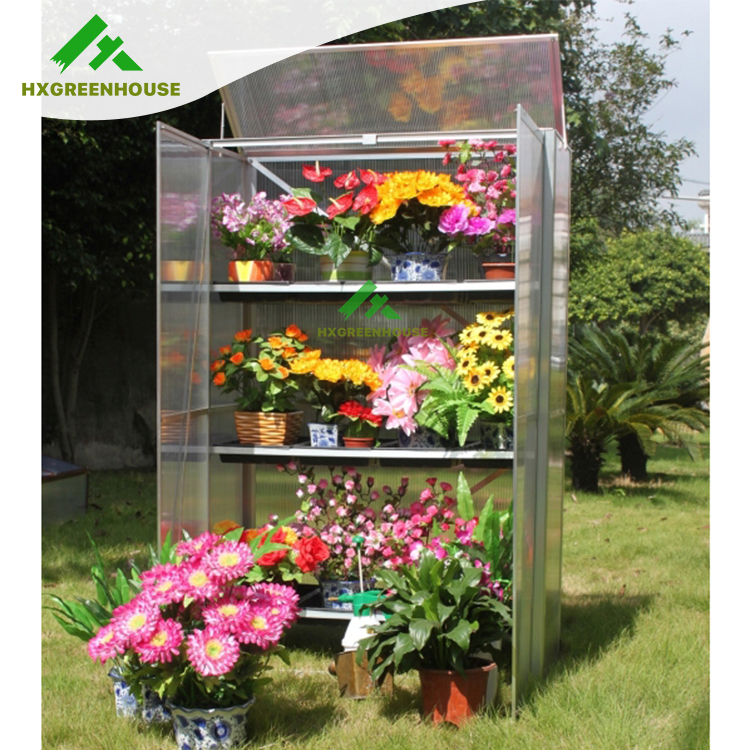 Mini pc lean to greenhouse HX64224