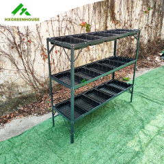 Greenhouse staging HX56313-5