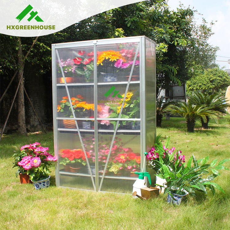 Mini pc lean to greenhouse HX64224