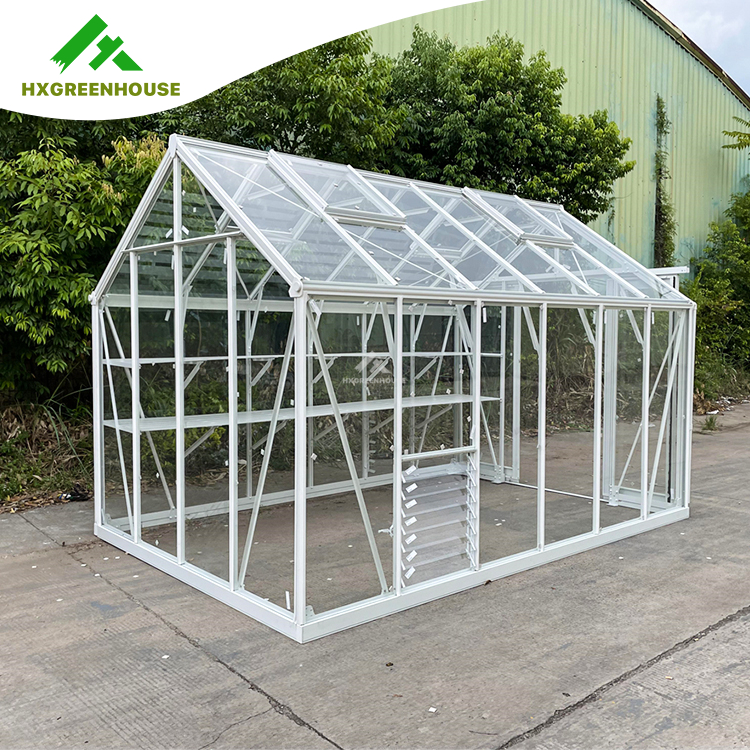 EXTRA STRONG glass greenhouse 12x8FT HX98126